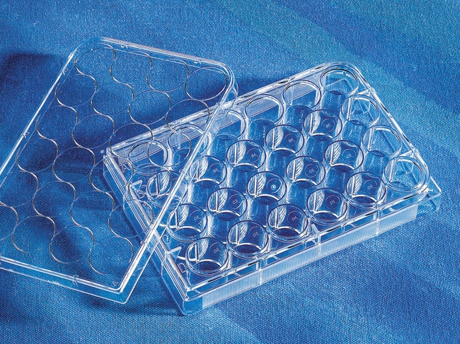 Corning Costar Zellkulturplatten mit fla